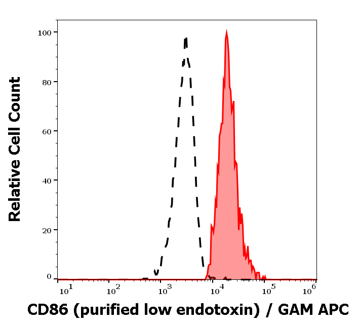 CD86 Antibody