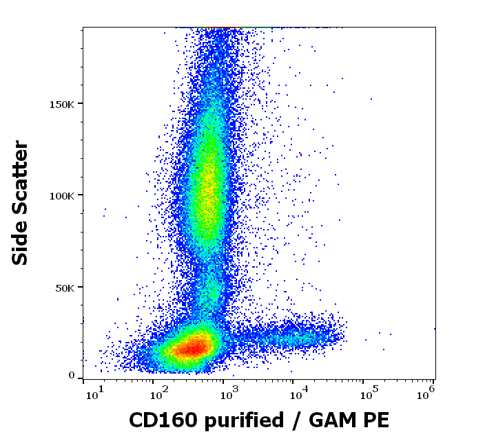 Anti-Hu CD160 Purified