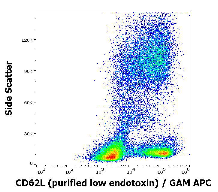 CD62L Antibody