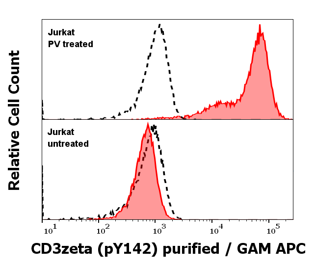 Anti-Hu CD3 zeta (pY142) Purified