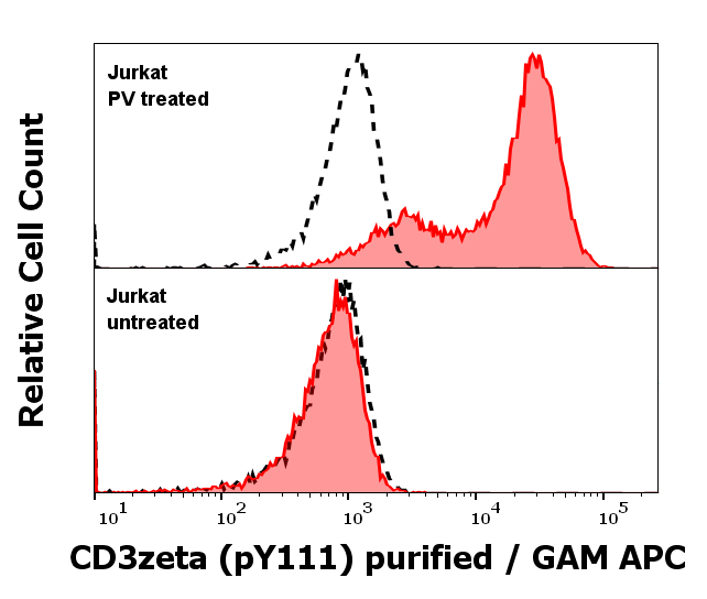 CD3 zeta (Phospho-Tyr111) antibody
