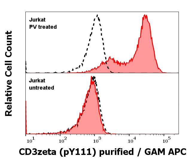 Anti-Hu CD3 zeta (pY111) Purified
