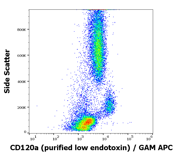 CD120a antibody