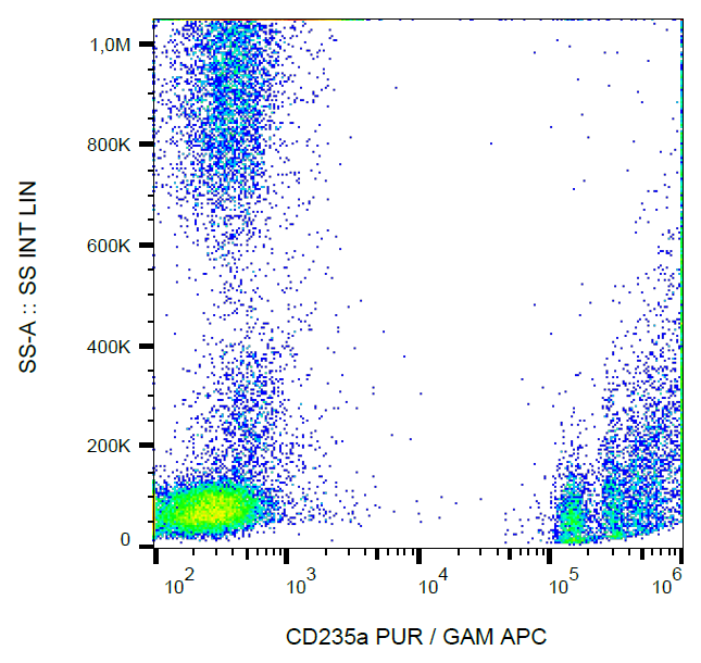 CD235a Antibody