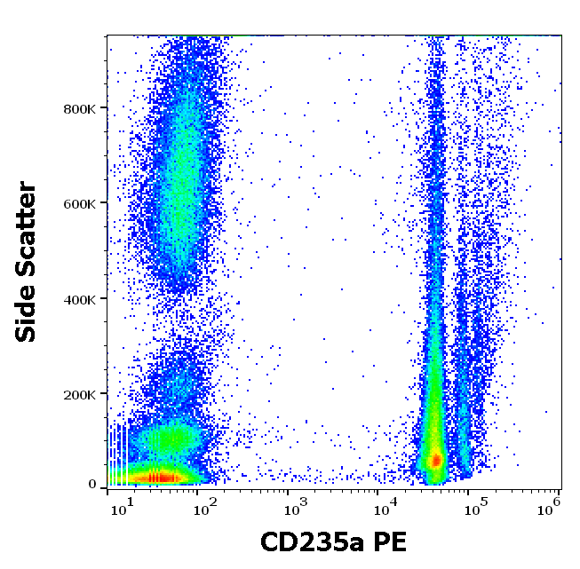 CD235a antibody (PE)