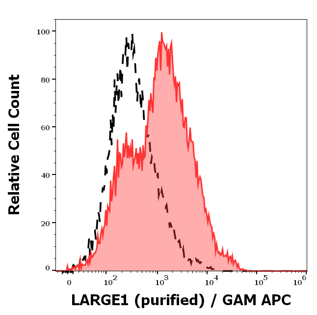LARGE1 Antibody