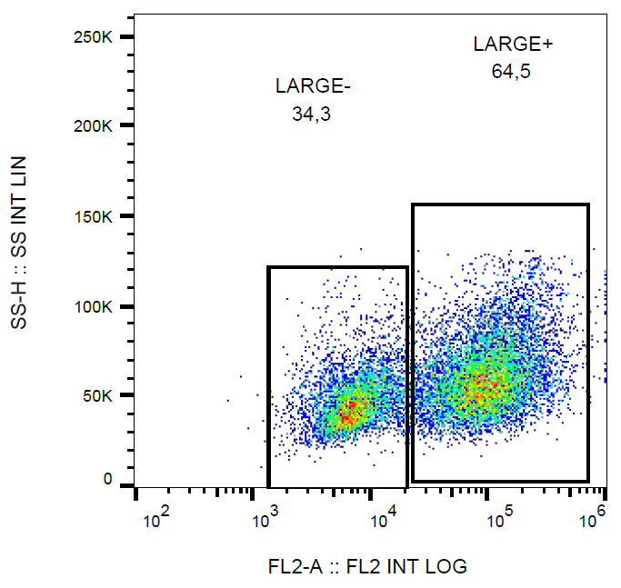 LARGE1 Antibody (PE)