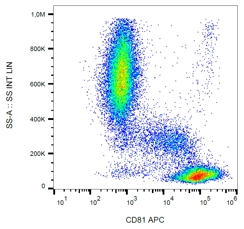 CD81 Antibody (APC)