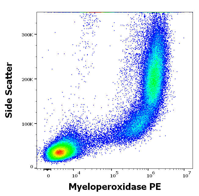 Myeloperoxidase Antibody (PE)