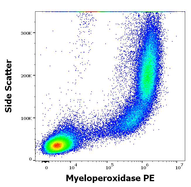 Myeloperoxidase antibody (PE)