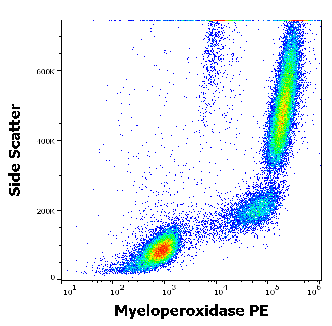 Myeloperoxidase antibody (PE)