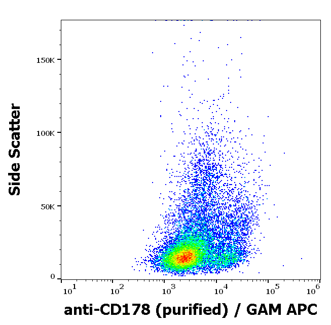 CD178 antibody