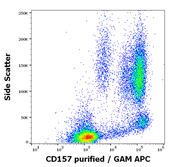 Anti-Hu CD157 Purified