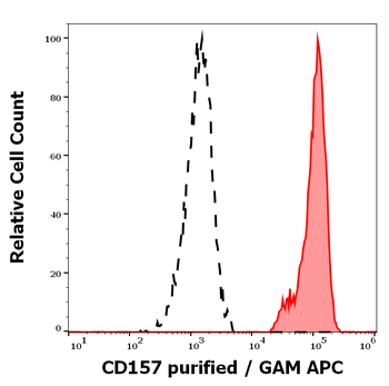 CD157 Antibody