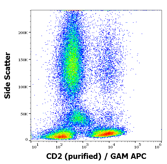 CD2 antibody