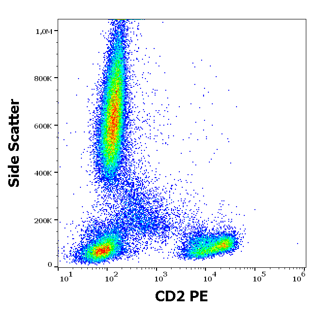 CD2 antibody (PE)