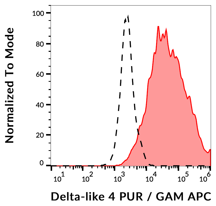 DLL4 Antibody