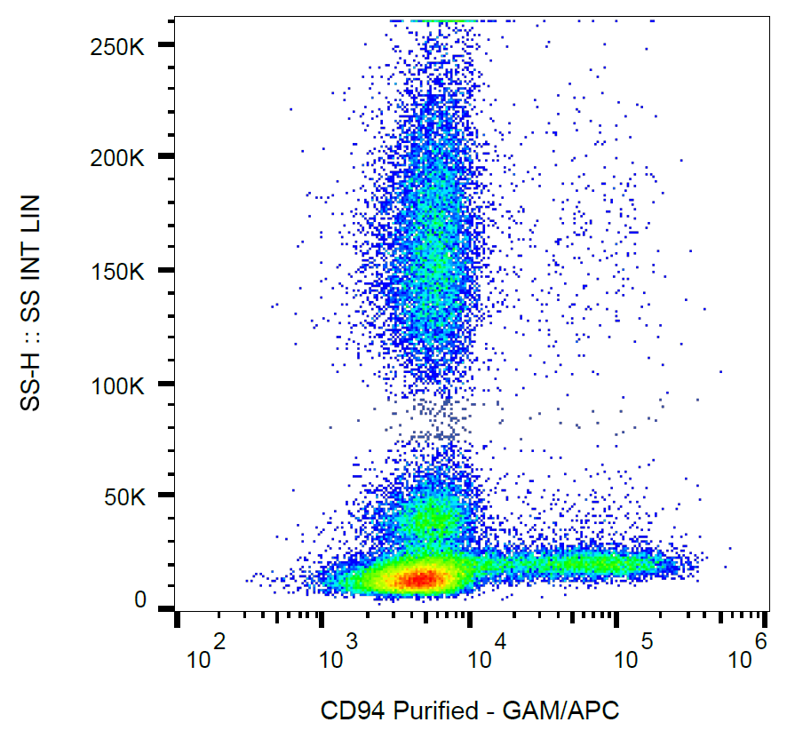 CD94 Antibody