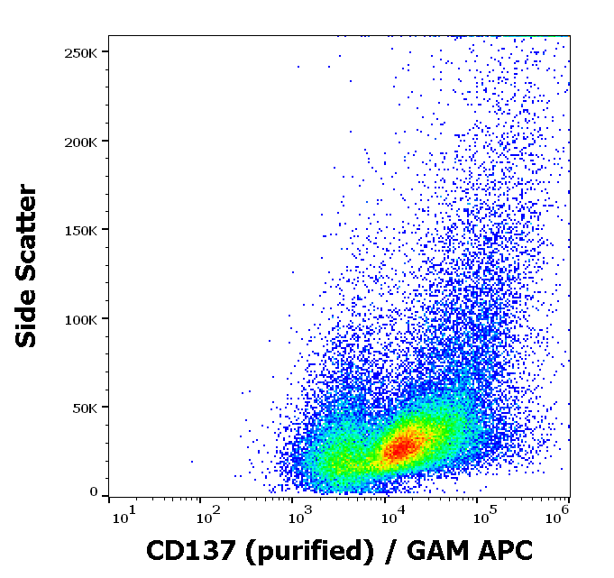 CD137 Antibody