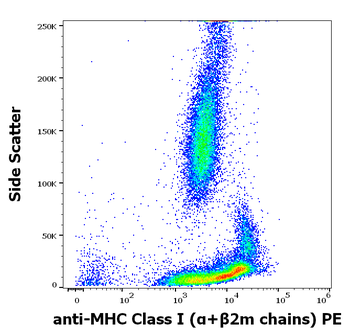 MHC Class I (α+β2m chains) Antibody (PE)