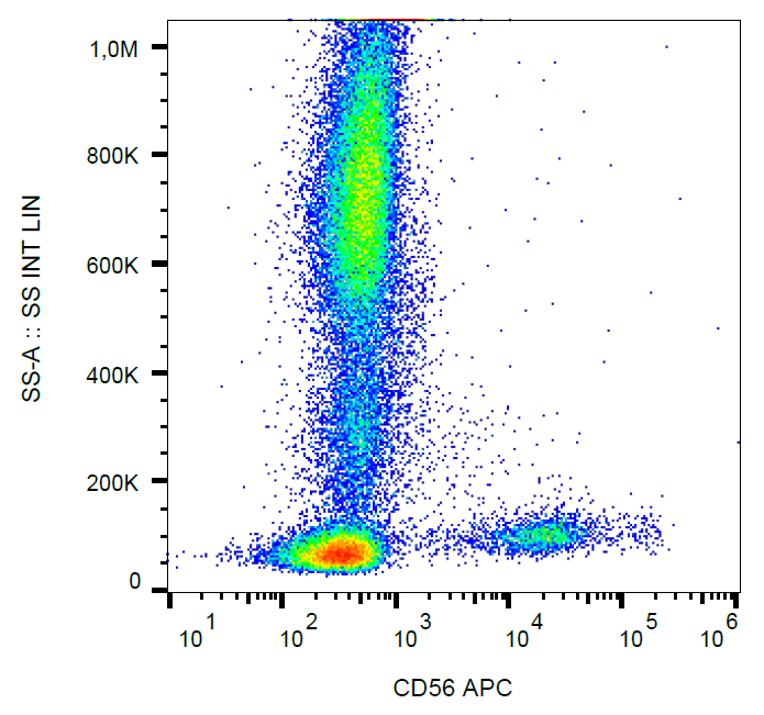 CD56 Antibody (APC)