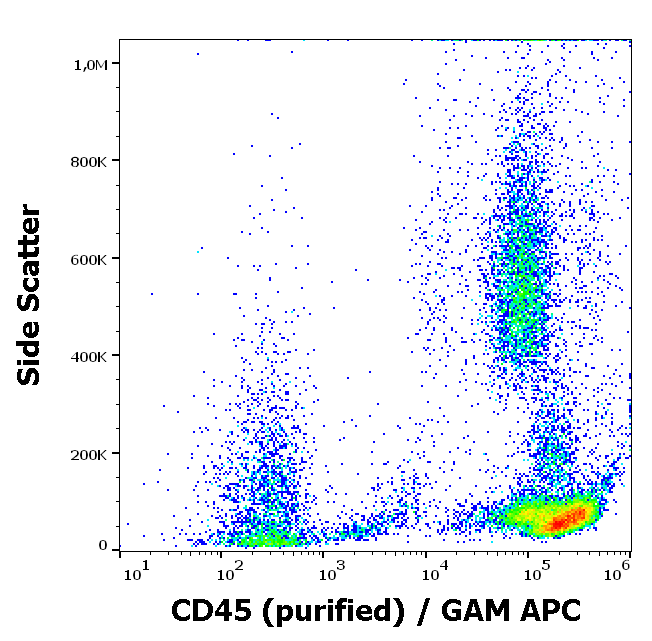 Anti-Hu CD45 Purified