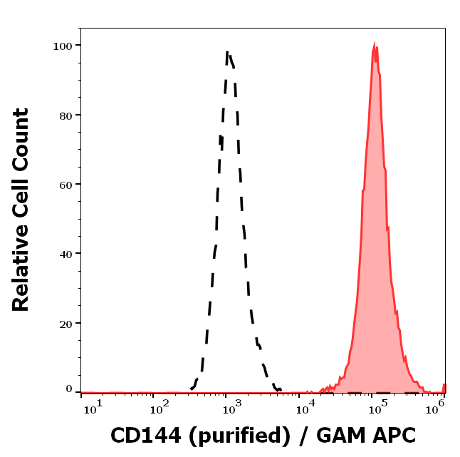 CD144 Antibody