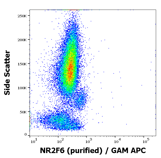 NR2F6 antibody