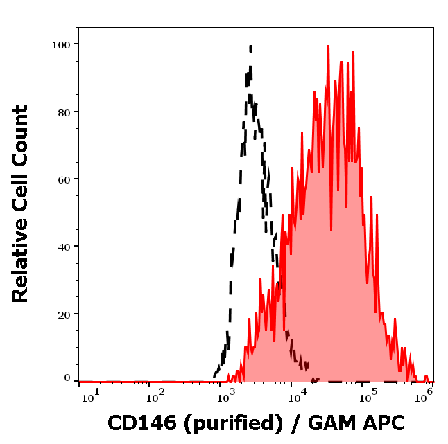 CD146 Antibody