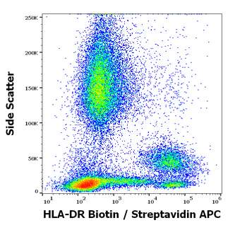 HLA-DR Antibody (Biotin)