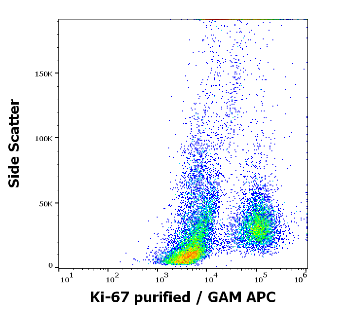 Ki-67 antibody