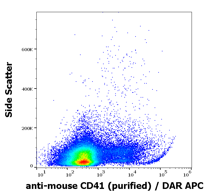 CD41 antibody