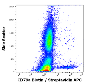 Anti-Hu CD79a Biotin