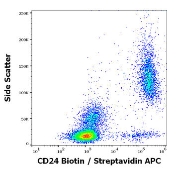 Anti-Hu CD24 Biotin