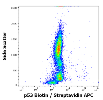 Anti-p53 Biotin