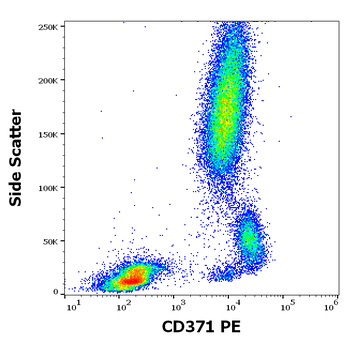 CD371 Antibody (PE)