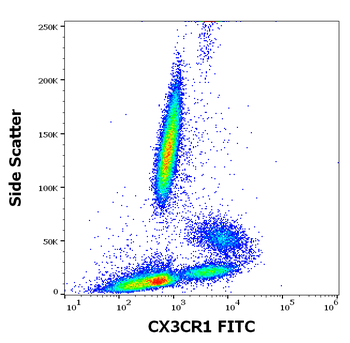 Anti-Hu CX3CR1 FITC