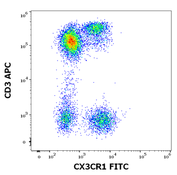 Anti-Hu CX3CR1 FITC