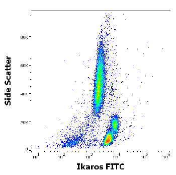 Ikaros Antibody (FITC)