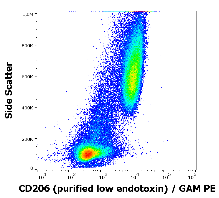 CD206 antibody