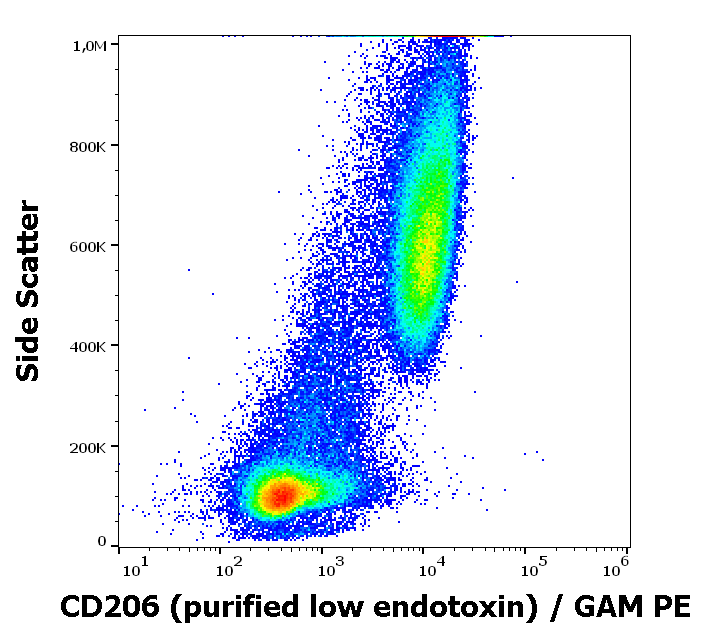 Anti-Hu CD206 Purified Low Endotoxin