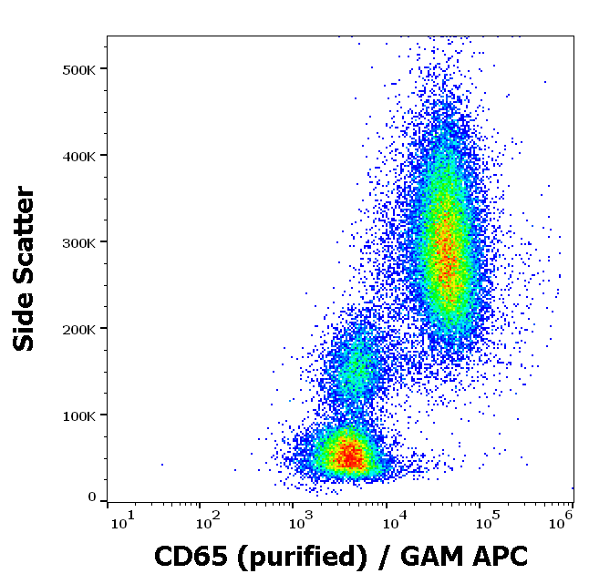 CD65 Antibody