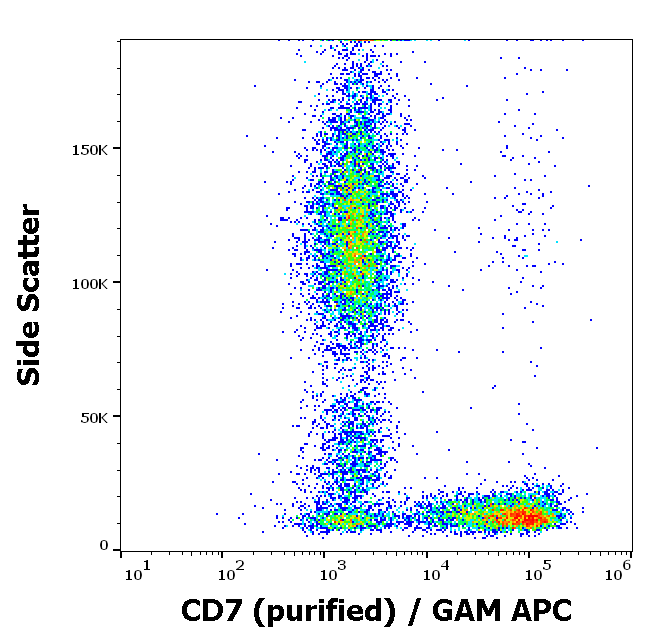 CD7 Antibody