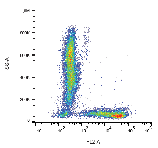 CD7 Antibody (PE)