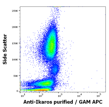 Ikaros Antibody