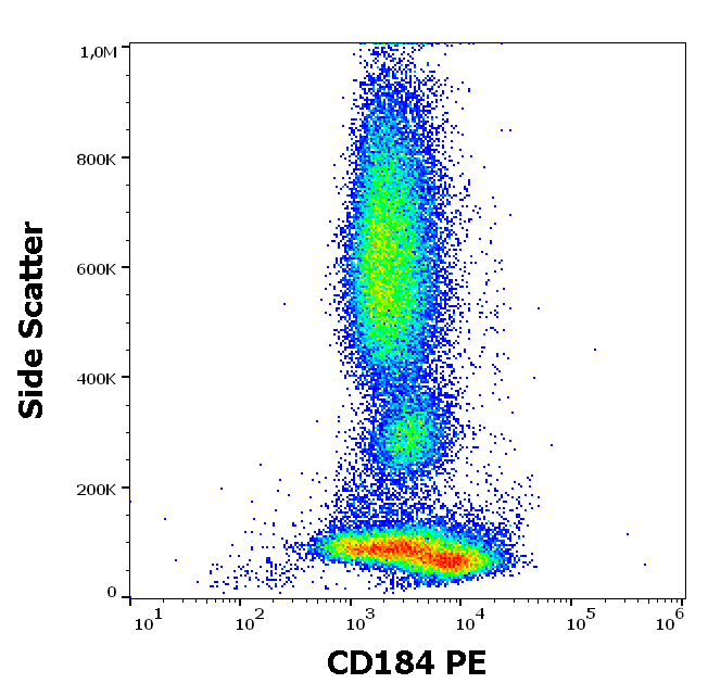 CXCR4 antibody (PE)