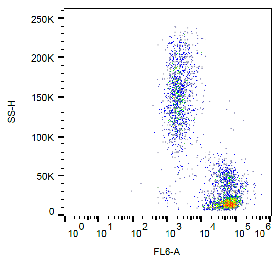 CD102 Antibody