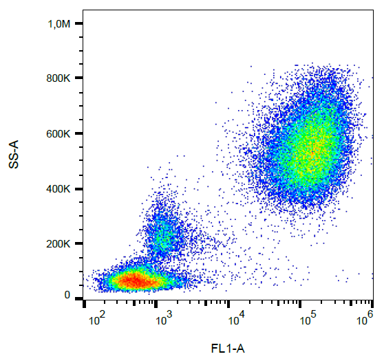 CD65 Antibody (FITC)