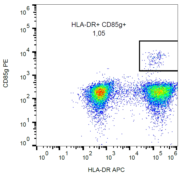 CD85g Antibody (PE)