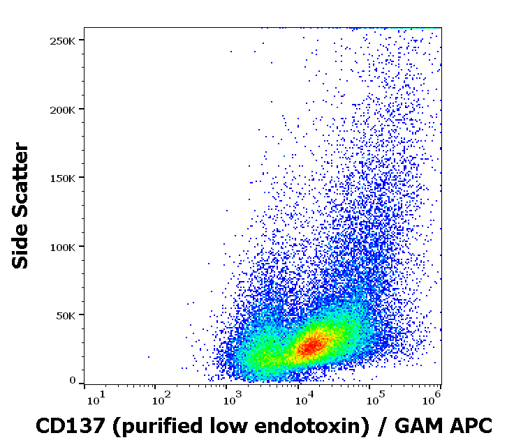 CD137 Antibody